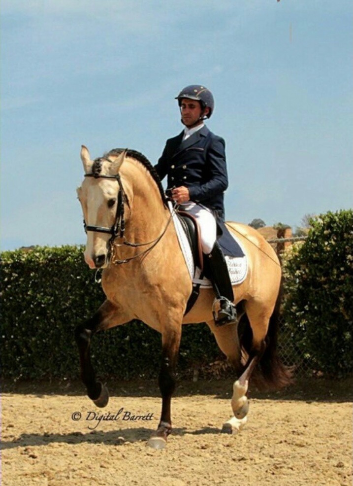 Photo of Andiamo